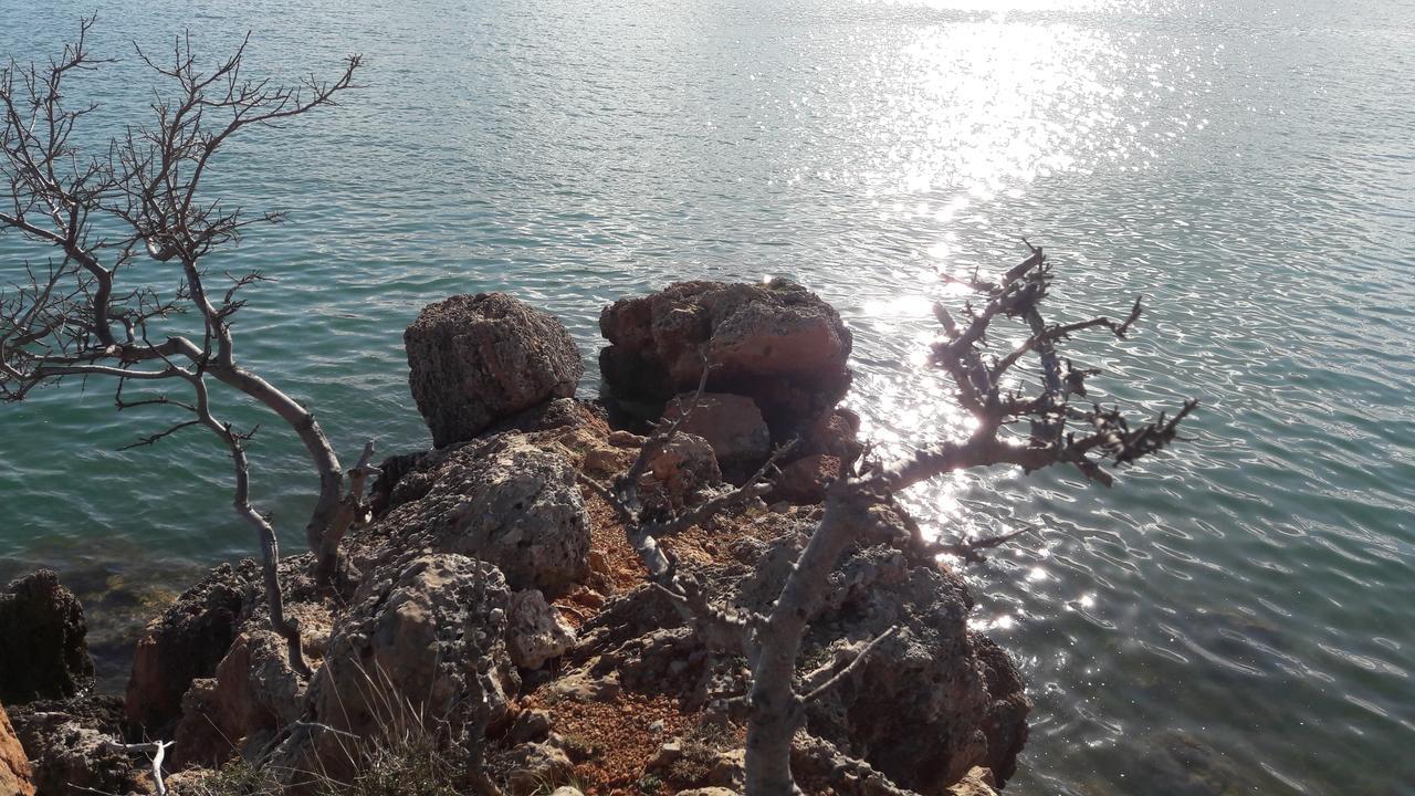 Apartments Cico Starigrad Paklenica Eksteriør billede
