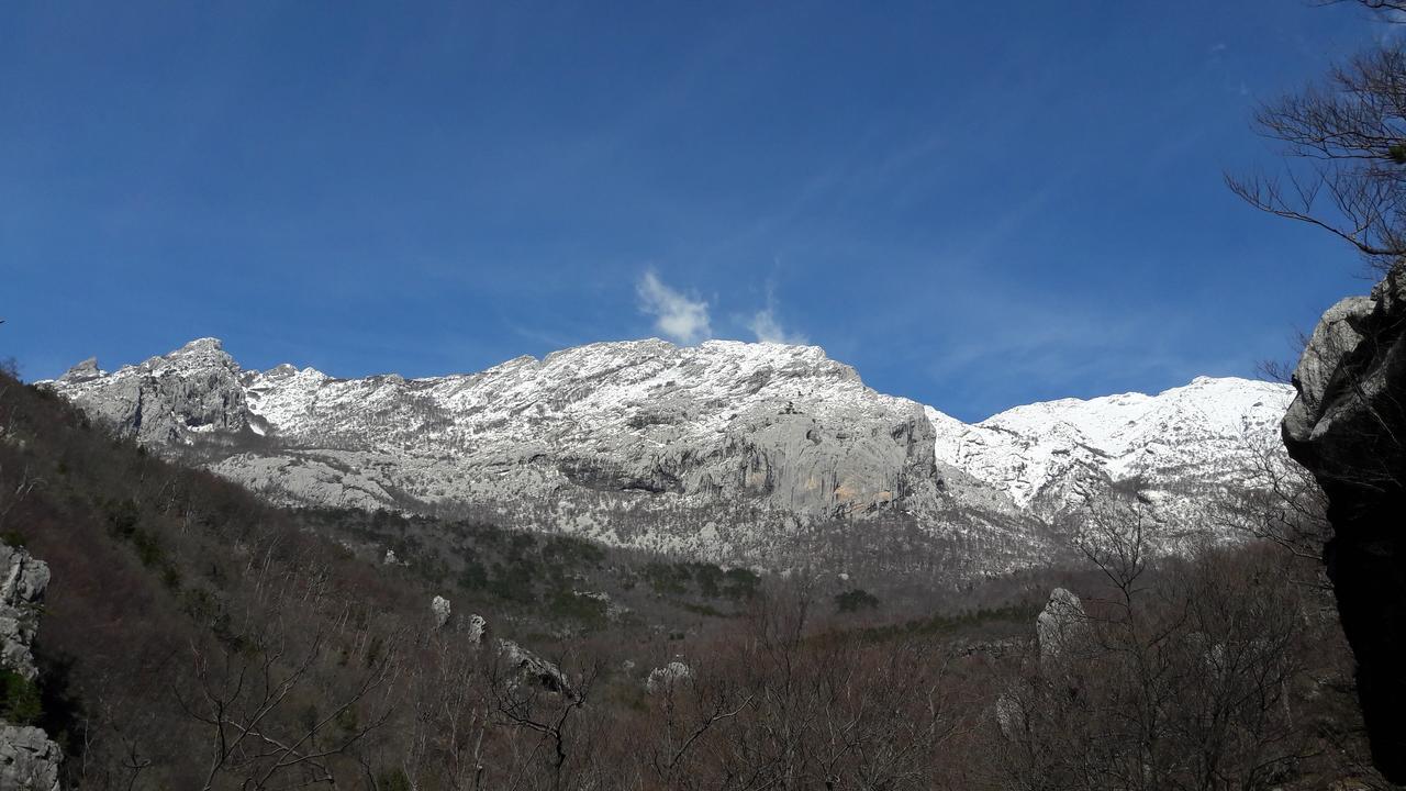 Apartments Cico Starigrad Paklenica Eksteriør billede