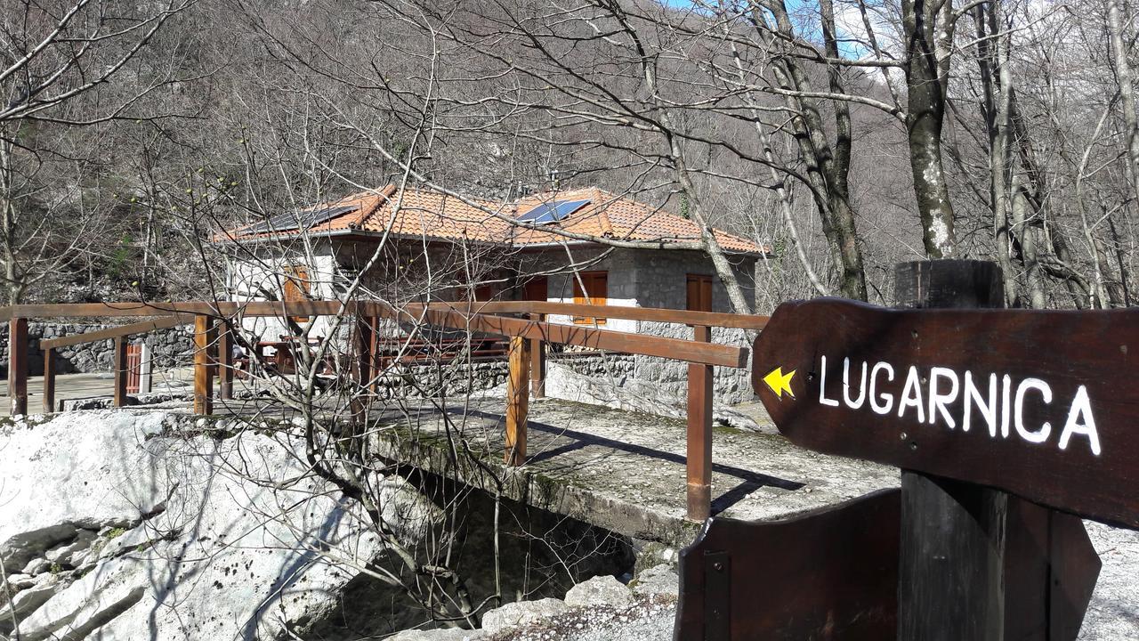 Apartments Cico Starigrad Paklenica Eksteriør billede